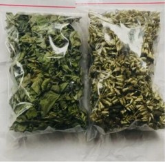 Dried Mexican Dream Herb CALEA ZACATECHICHI Lucid Pure 100% ORGANIC Herbal Tea
