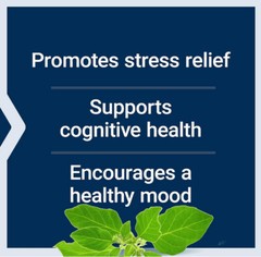 OPTIMIZED ASHWAGANDHA EXTRACT STRESS ANXIETY 120 Capsule LIFE EXTENSION