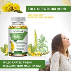 Mullein Leaf Capsules Extra Strength Support Respiratory Health Lung Detox 120Pc