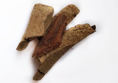 MAIDA LAKDI Litsea Tallow Ayurvedic Herbal 250g Glutinosa Laurel WHOLE Free Ship