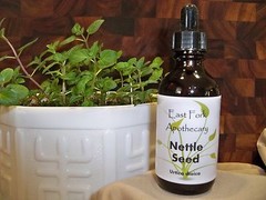 Nettle Seed Tincture 2 oz. Wildcrafted