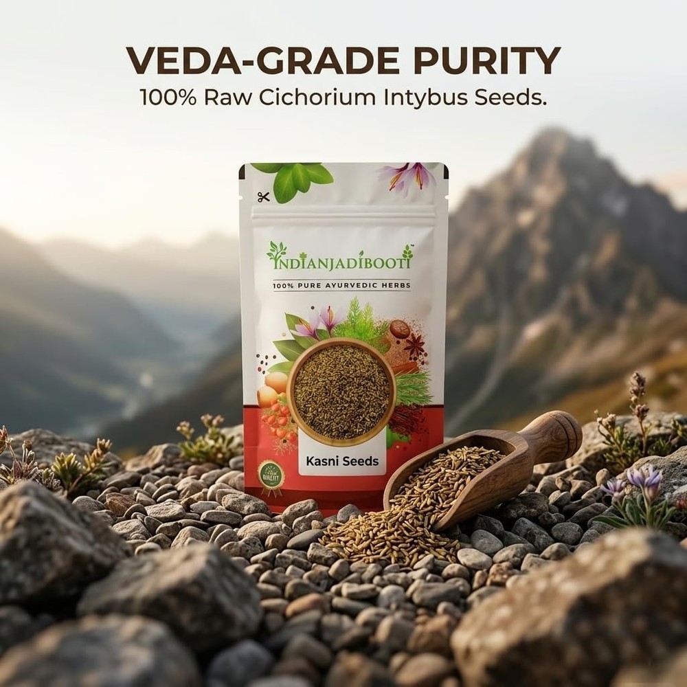 IndianJadiBooti Kasni Seeds – Cichorium Intybus – Chicory Seeds -100 GRAMS