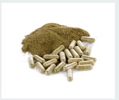 Mullein Leaf Capsules 60ct | Vegan Organic | Natural Lung & Respiratory Support
