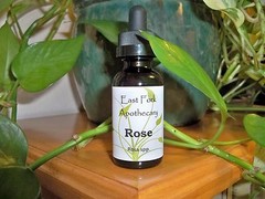 Rose Tincture 1 oz. Wildcrafted