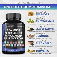 Sea Moss Black Seed Oil, Burdock Root – Immune & Thyroid Support, Gut Health