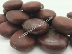 African Dream Herb, Entada rheedii, Wild-Crafted Whole Seed ~ Schmerbals Herbals