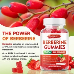 MEENCCD Berberine Gummies with Ceylon Cinnamon 1500mg 60 Count (Pack of 1)