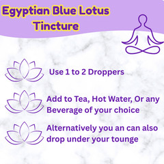 Egyptian Blue Lotus Dual Extract Tincture – Experiece the Calm