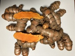 1-15lbs fresh turmeric root