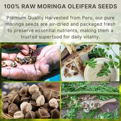Moringa Seeds 100g Raw Semilla de Moringa Oleifera Drumstick Tree Seed from Peru