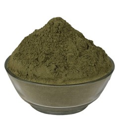 Podina Powder – Mentha Arvensis Mint Herb