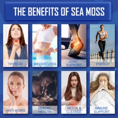 Organic Sea Moss Capsules – Advanced Formula for Immunity, Gut, & Energy 240ct