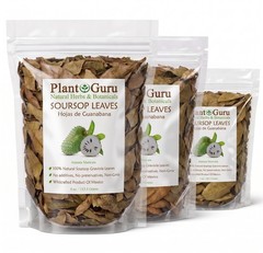 Dried Soursop Leaves – Natural Graviola Soursop Tea Leaves, Hojas de Guanabana