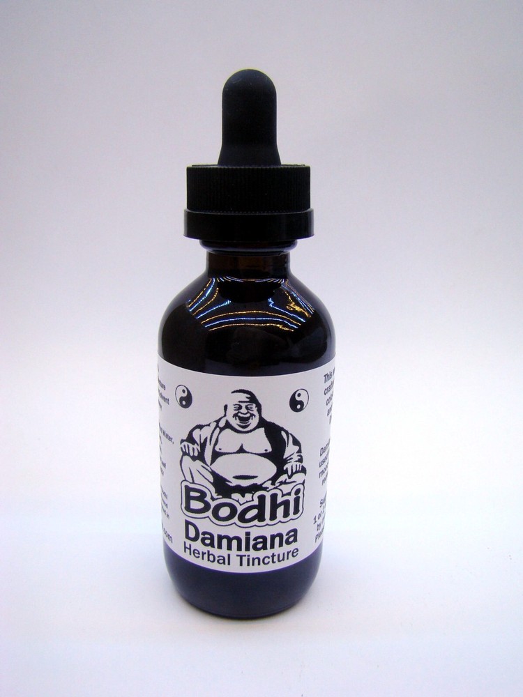 Damiana Herbal Tincture (2:1) – Wild Harvested & Highly Aromatic!