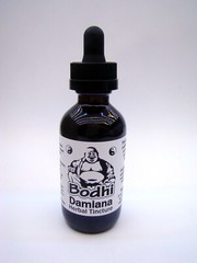 Damiana Herbal Tincture (2:1) – Wild Harvested & Highly Aromatic!