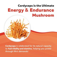 Organic Cordyceps Mushroom Extract 8 oz | Max Potency Tincture, 70% Beta Glucans