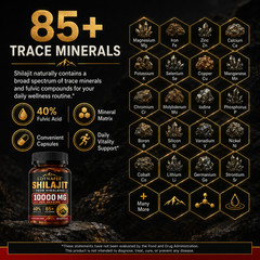 Lotnafee 100% Pure Himalayan Shilajit (Soft Resin)—Organic, Highly Potent, and