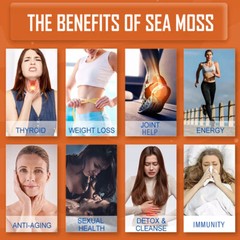 Sea moss, bladderwrack and burdock root capsules, immune and thyroid care
