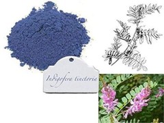 100% Pure Organic Herbs Botanica Natural Indigo Powder – 150 grm