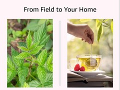 Red Raspberry Leaf – Cut & Sifted Herb – Rubus Idaeus – Loose Bulk Tea