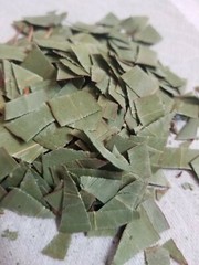 California Organic Eucalyptus globulus dry leaves
