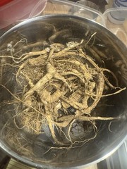 Wild American Ginseng Powder 16.4% Ginsenosides 164 mg/g Lab Tested