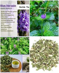 Blue Vervain Herb Blue Porterweed Jamaican Blue Vervain 100% Pure Free Shipping