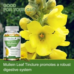 120 Mullein Leaf Capsules for Lung Cleansing&Detox Herbal Dietary Supplement