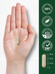 Purslane Supplement 500mg | 120 Capsules | Non GMO, Gluten Free | by Carlyle