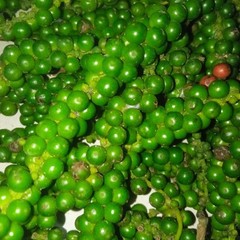 Black pepper. powder & peppercorns 100% Organic Ceylon Spice. Sun Dried