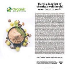 USDA Organic Amla Powder 1.1 lbs Amalaki Non GMO Kosher Indian Gooseberry