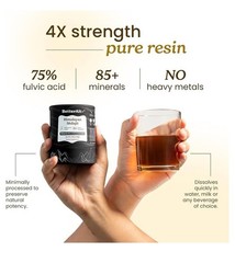 Better Alt Pure Himalayan Shilajit Resin Pack of 1 High Potency Gold Grade