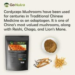 Cordyceps Mushroom Powder 8oz