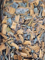Wild Cherry Bark Organic HARVESTED IN SOUTHWEST VA 8OZ