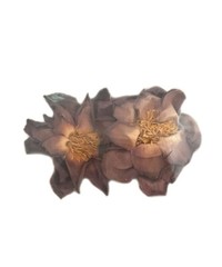 Organic Whole Sacred Pink Lotus Flower Packs (Nelumbo nucifera) 3 Pack + Sample