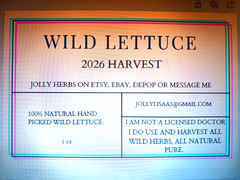 Jolly Herbs Wild Lettuce Leaves (Oral) – Dried Herb – 1 oz – All Natural