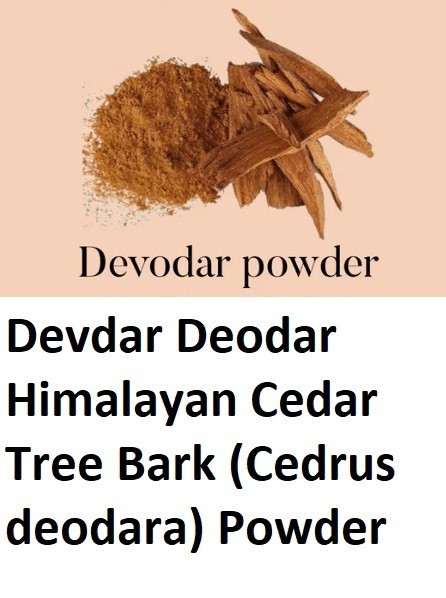 Devdar Deodar Himalayan Cedar Tree Bark (Cedrus deodara) Powder 100% Purest