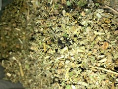 Passionflower Skullcap Damiana Marshmallow Mullein – No.16 Herb Mix Smokin Deal!