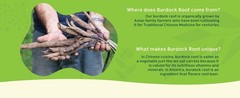 Organic Burdock Root – 1 lb – 100% Arctium lappa – Raíz de Bardana – Cut & Sift,