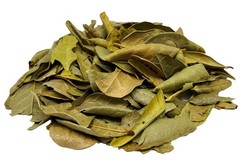 Boldo Leaves Herbal Te Peruvian Premium Value Pack (135g) Peru