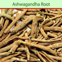 Ashwagandha Roots 100% Pure Herb Ashwaganda Indian Ginseng 1.76oz (50 GM)