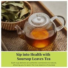 200+ Dried Soursop Leaves , Hojas De Guanabana, Soursop Leaf Tea, 2.6oz