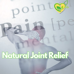 Joint Support Tincture Herbal Blend 2oz Flexibility Mobil & Natural Pain Relief