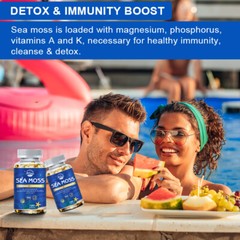 Organic Sea Moss Capsules – Advanced Formula for Immunity, Gut, & Energy 240ct