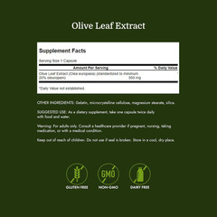 Swanson Olive Leaf Extract Capsules with 20% Oleuropein 120 Count (Pack of 1)