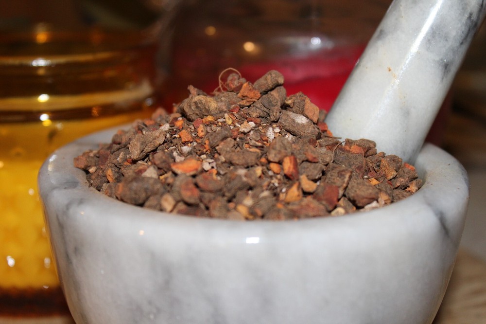 Bloodroot – Sanguinaria canade, Cut Root – Appalachian Mountains Wild Harvest
