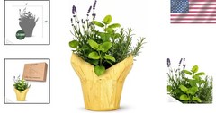 Aromatic Herb Trio – Lavender, Rosemary, Lemon Balm