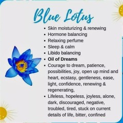 Blue Lotus (Nymphaea Caerulea) 100% Organic Natural Hand Picked Flowers Herb Tea