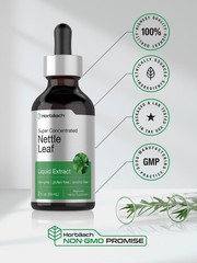 Nettle Leaf Liquid Extract | 2 fl oz | Alcohol Free | Vegetarian | by Horbaach