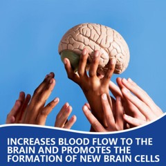 GINKGO BILOBA WITH VITAMIN B6, B12, FOLIC ACID for Brain Function,Brain & Memory